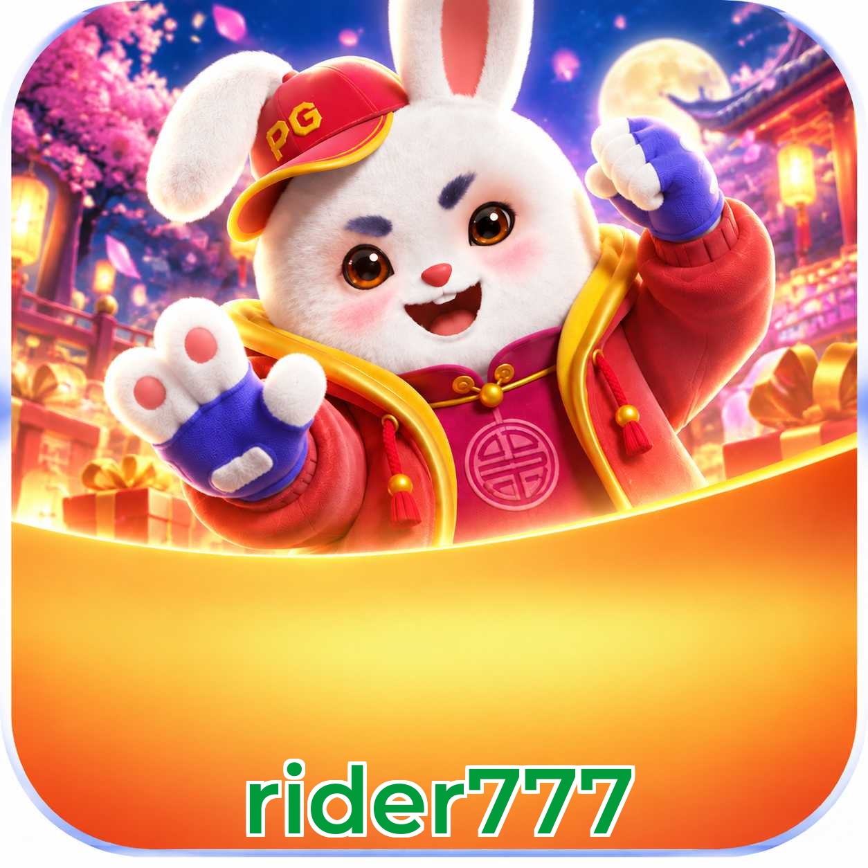 rider777 Erros de Login