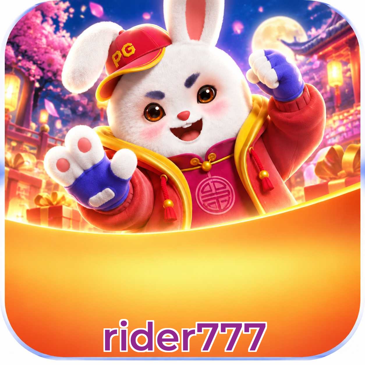 rider777 Suporte